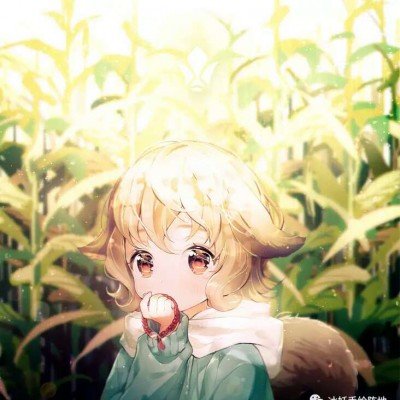appicon